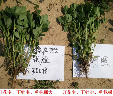 亿万先生mr·(中国区)官方网站