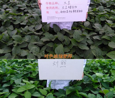 亿万先生mr·(中国区)官方网站