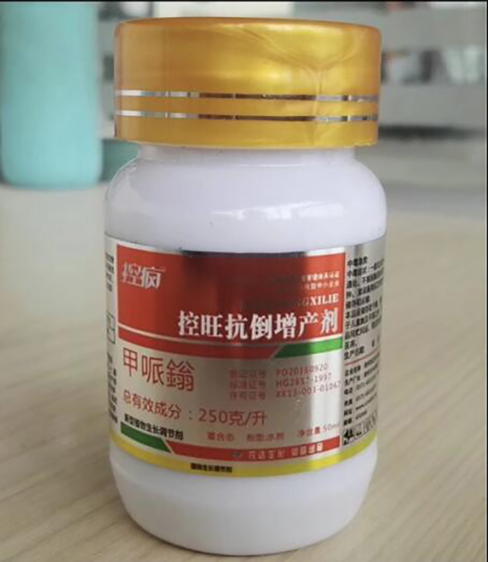 Talking about the Performance of Crazy Control in Cotton and the Key Points of Cotton Chemical Control Technology(图4)